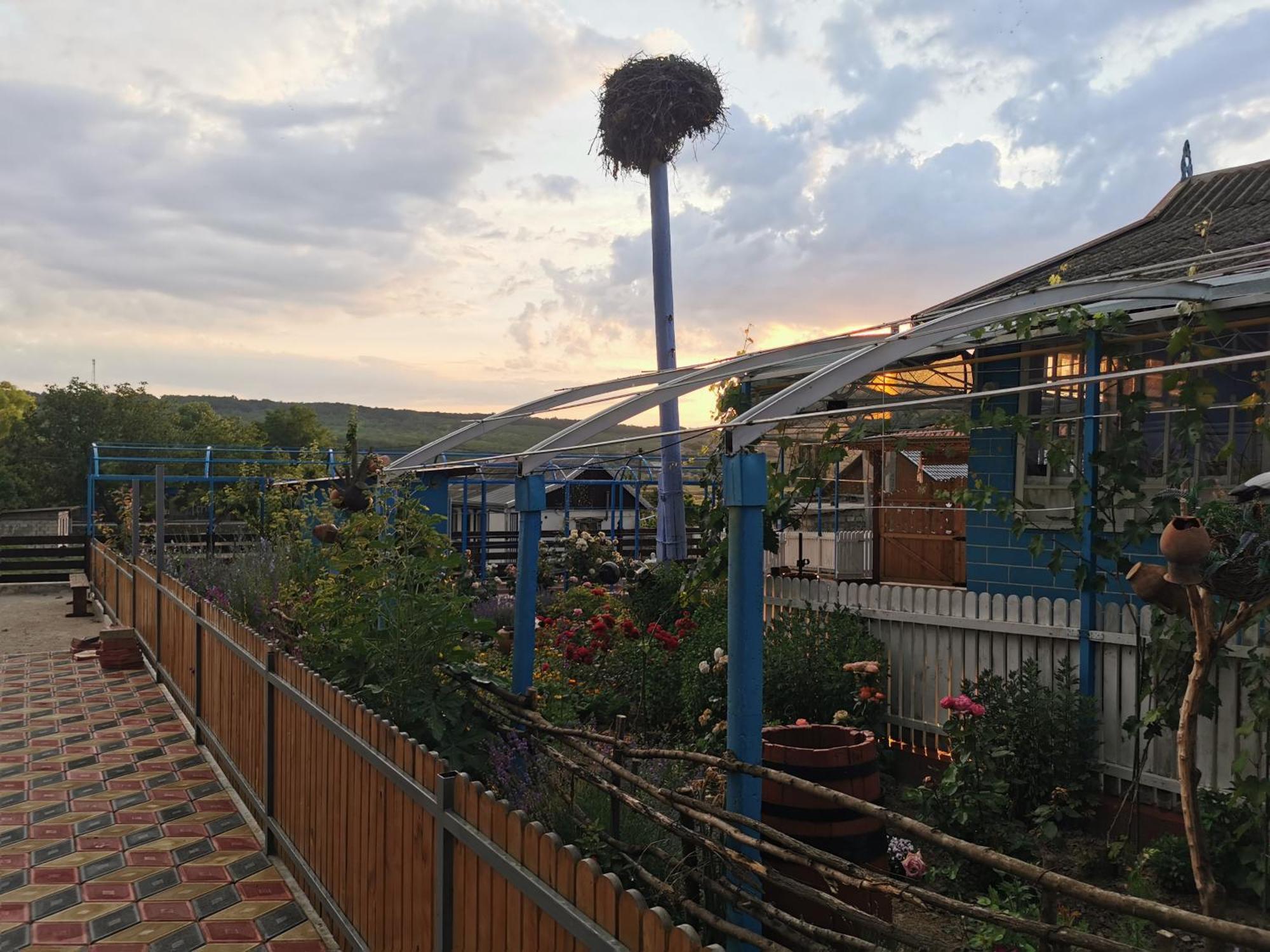 La Madalina Bed & Breakfast Selemet Luaran gambar