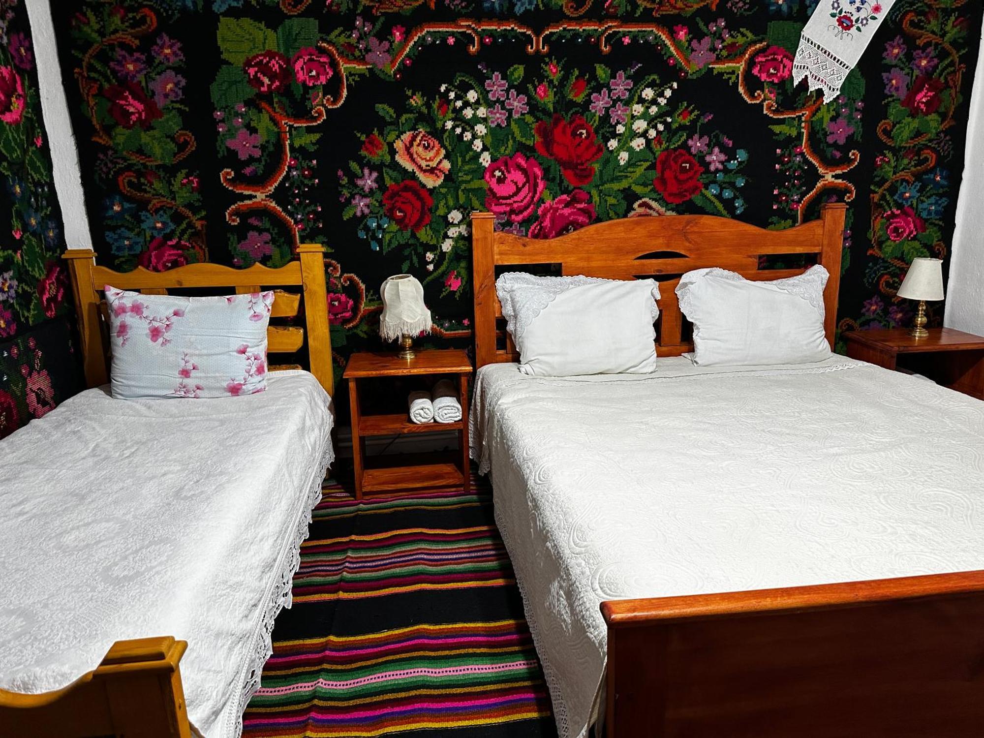 La Madalina Bed & Breakfast Selemet Luaran gambar
